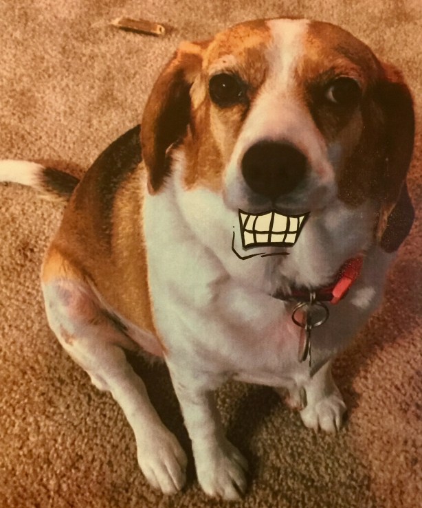 34DD4FE6-3513-4662-B38F-1804BE765204