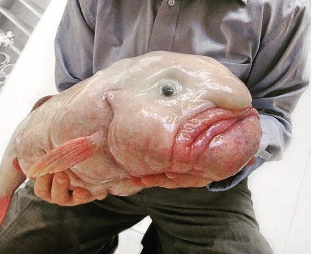 30EC90DD-0164-4A15-A2B0-F169DCE6445F