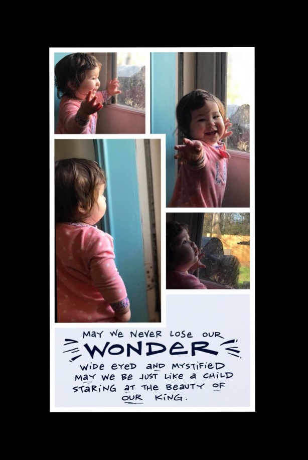 82D361F9-8CFF-44F9-B92B-E6E0292A50A6