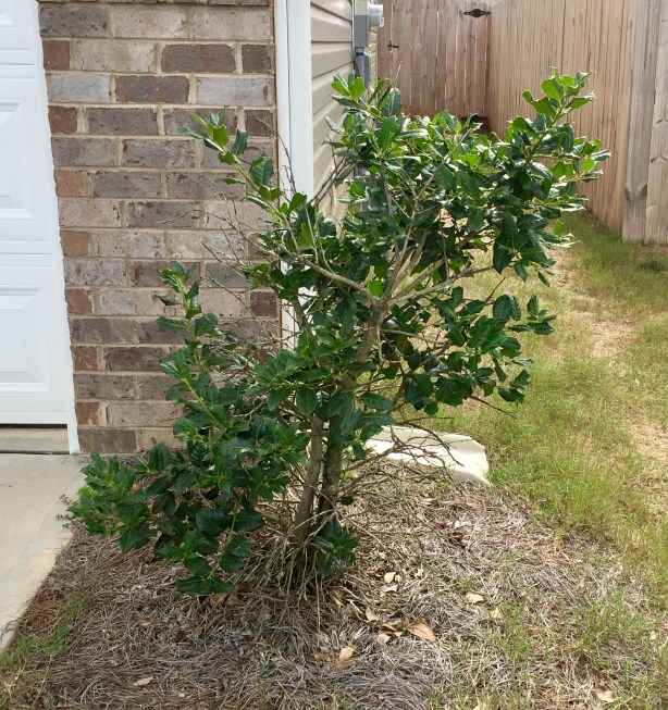 C1550574-22E8-4826-8FD5-DFAC35FF74C9