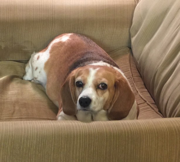 8AAB9228-4BC5-449E-A0C0-5A96D2E574BB